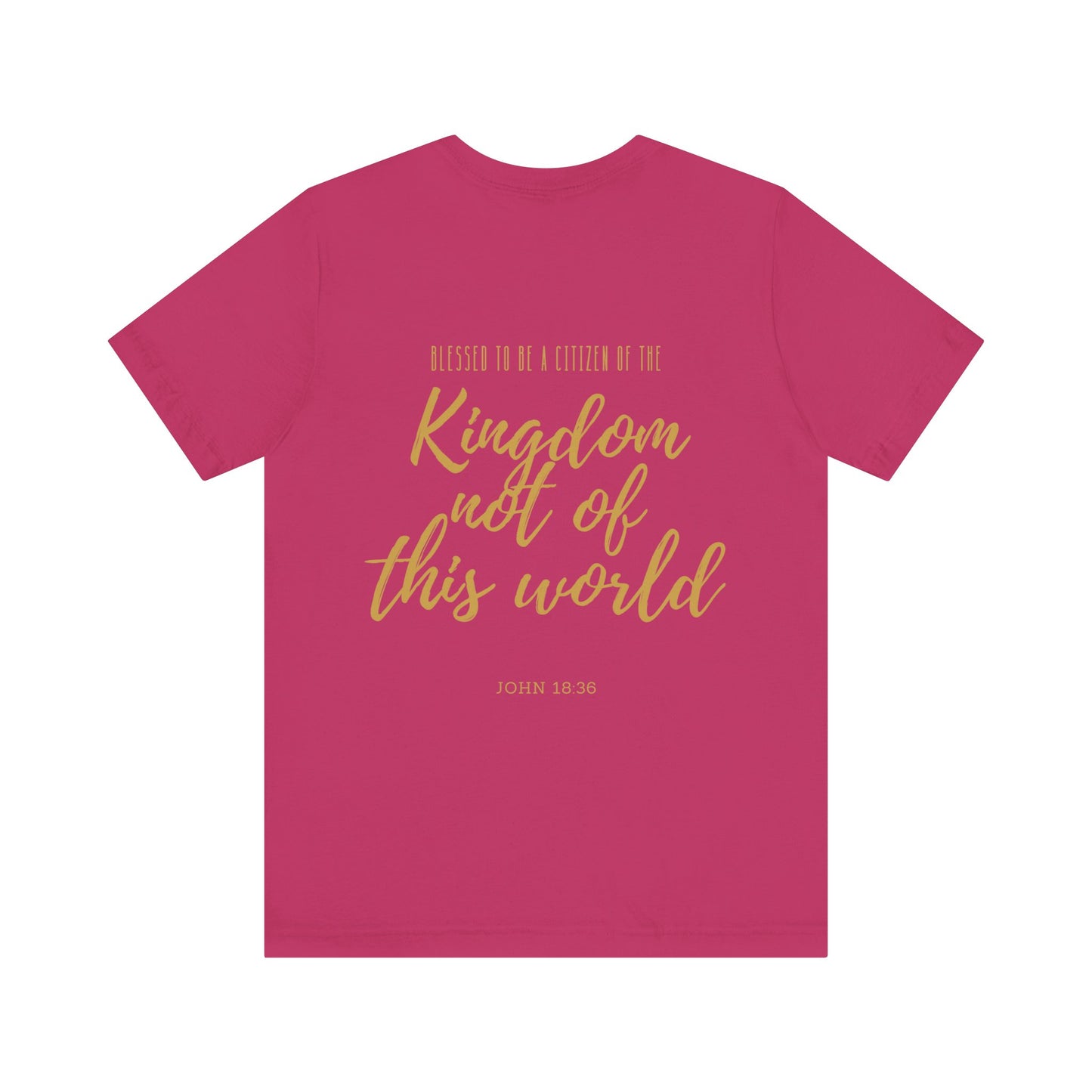 Kingdom Not of This World Unisex Tee