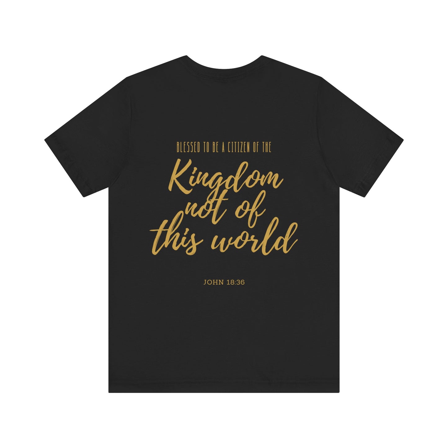 Kingdom Not of This World Unisex Tee