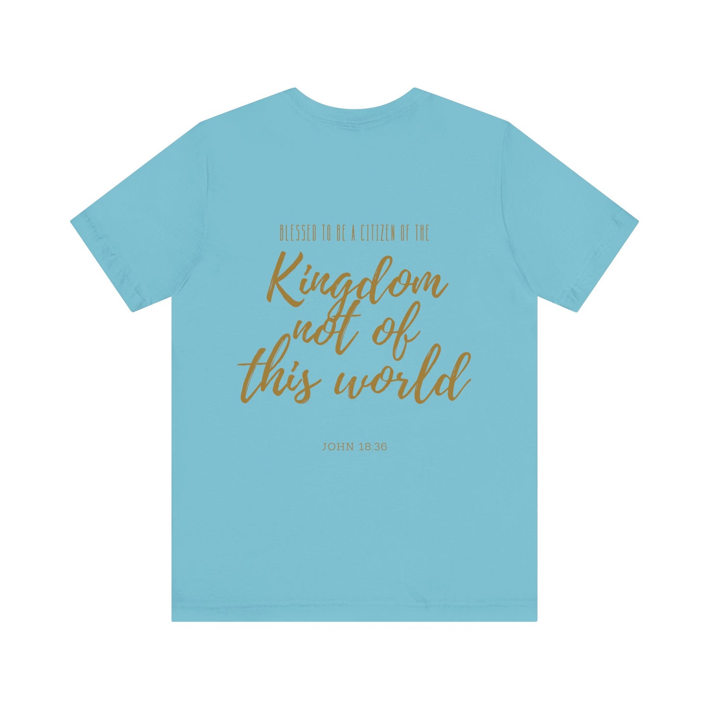 Kingdom Not of This World Unisex Tee